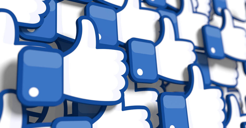 news-feed-guida
