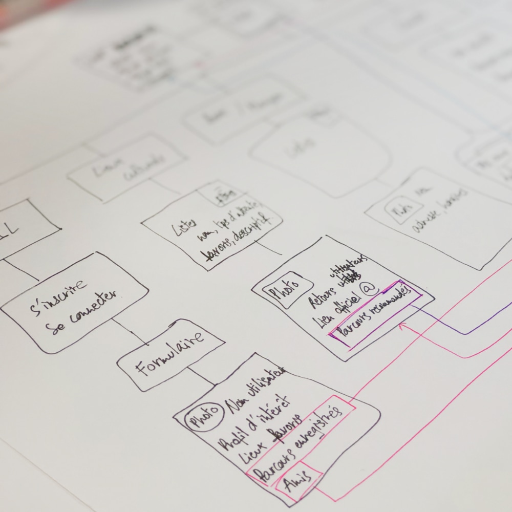 Consultancy and Strategy